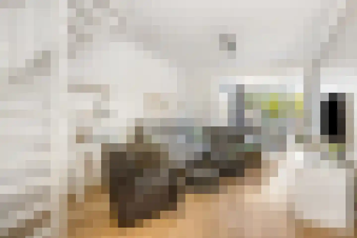 Schaapskuil 44 Bladel thumbnail 11