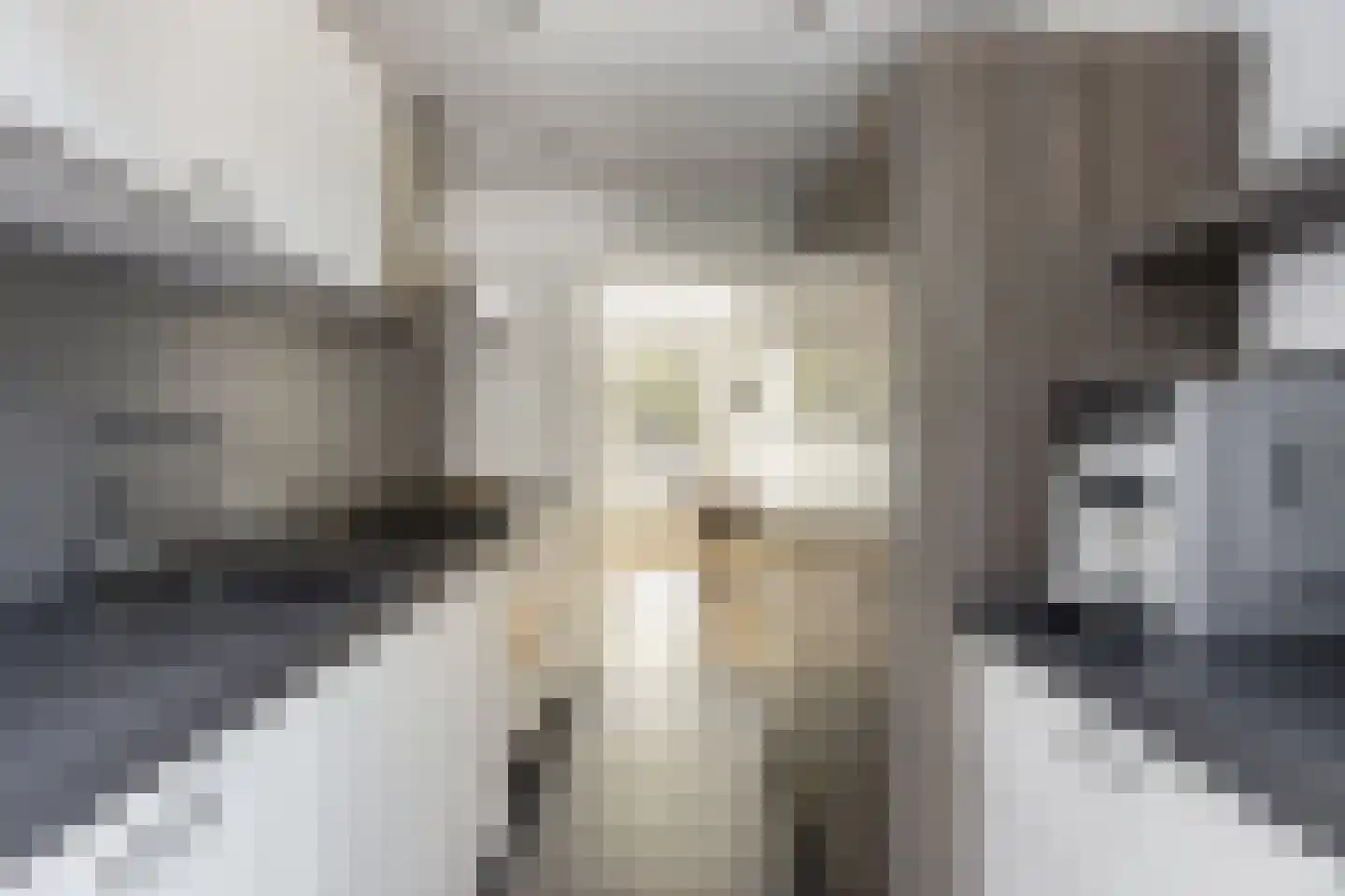 Schaapskuil 44 Bladel thumbnail 18