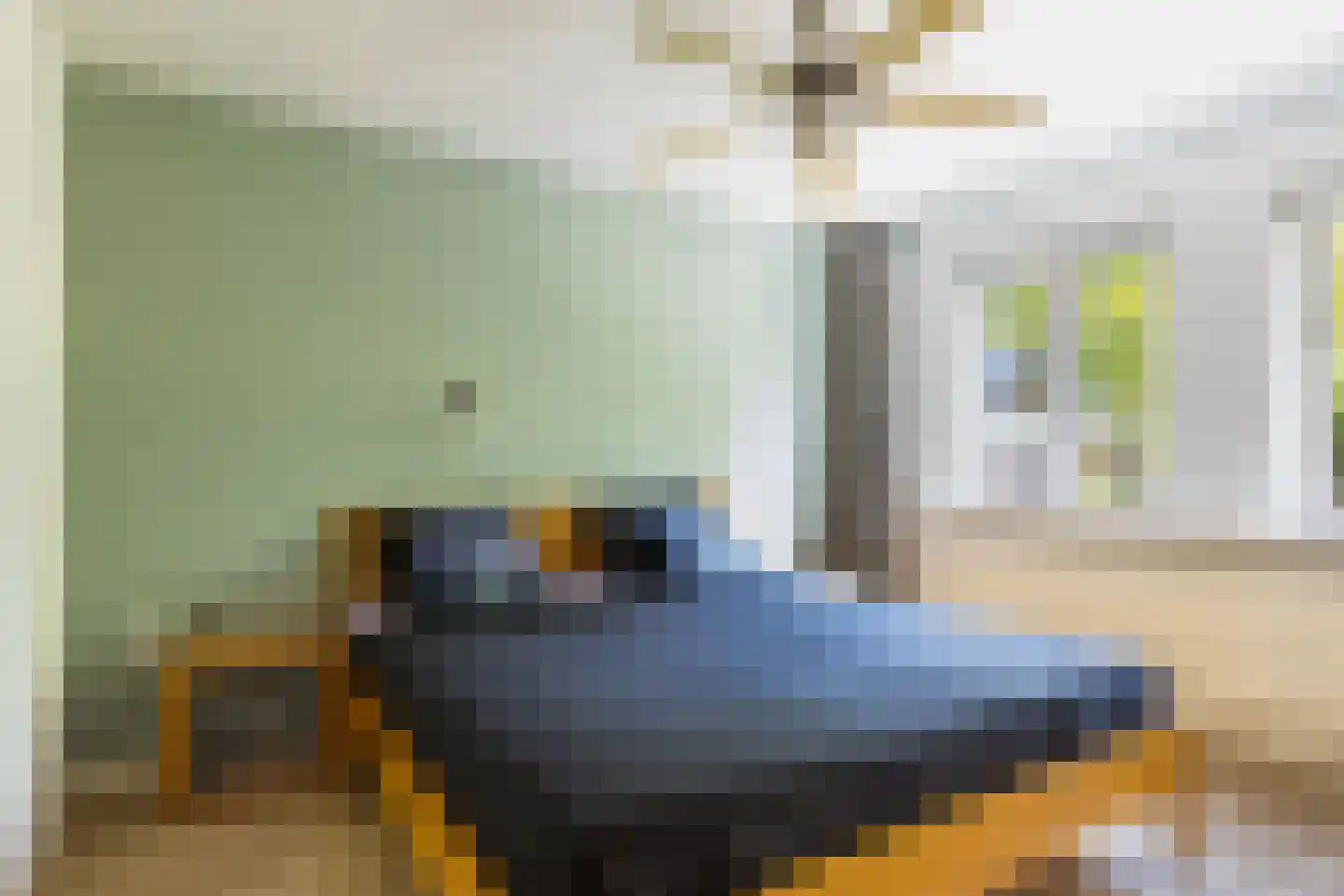 Schaapskuil 44 Bladel thumbnail 22