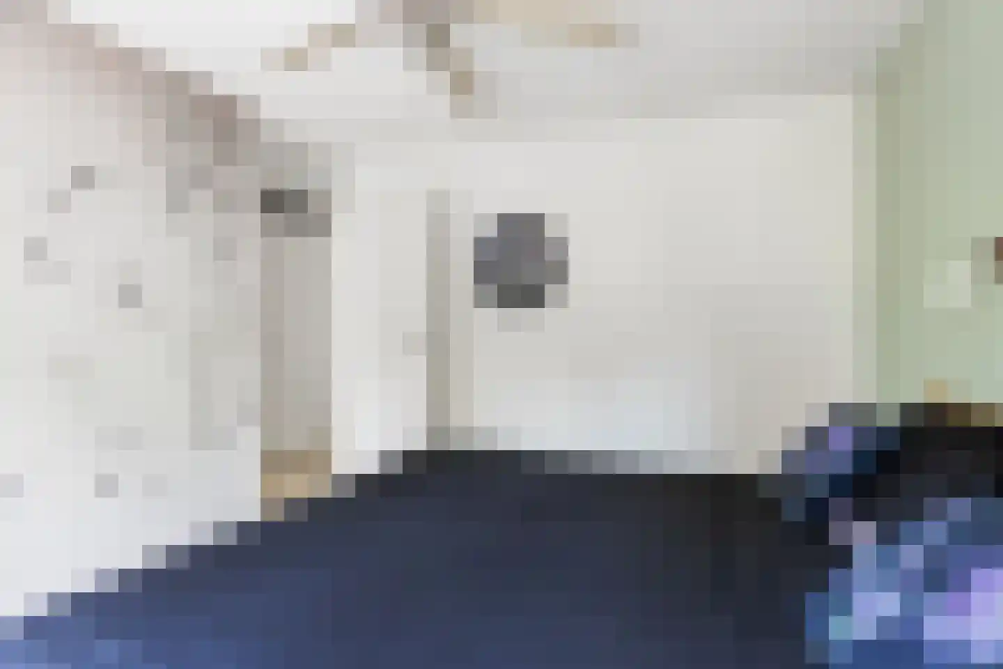 Schaapskuil 44 Bladel thumbnail 23