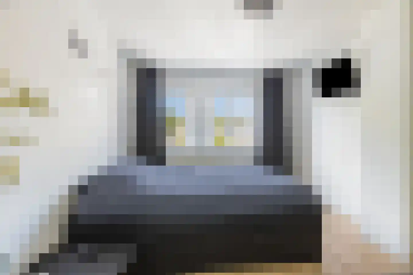 Schaapskuil 44 Bladel thumbnail 24
