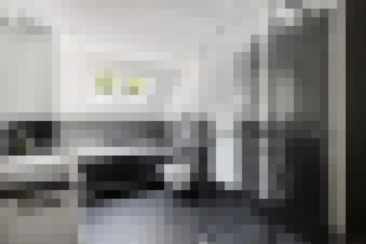 Schaapskuil 44 Bladel thumbnail 26