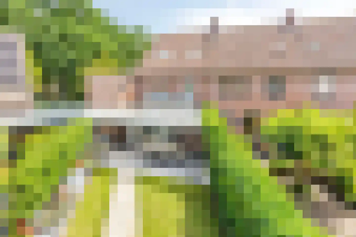 Schaapskuil 44 Bladel thumbnail 38