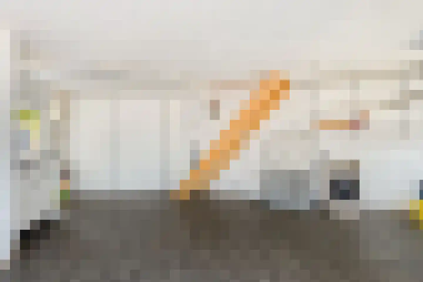 Schaapskuil 44 Bladel thumbnail 47
