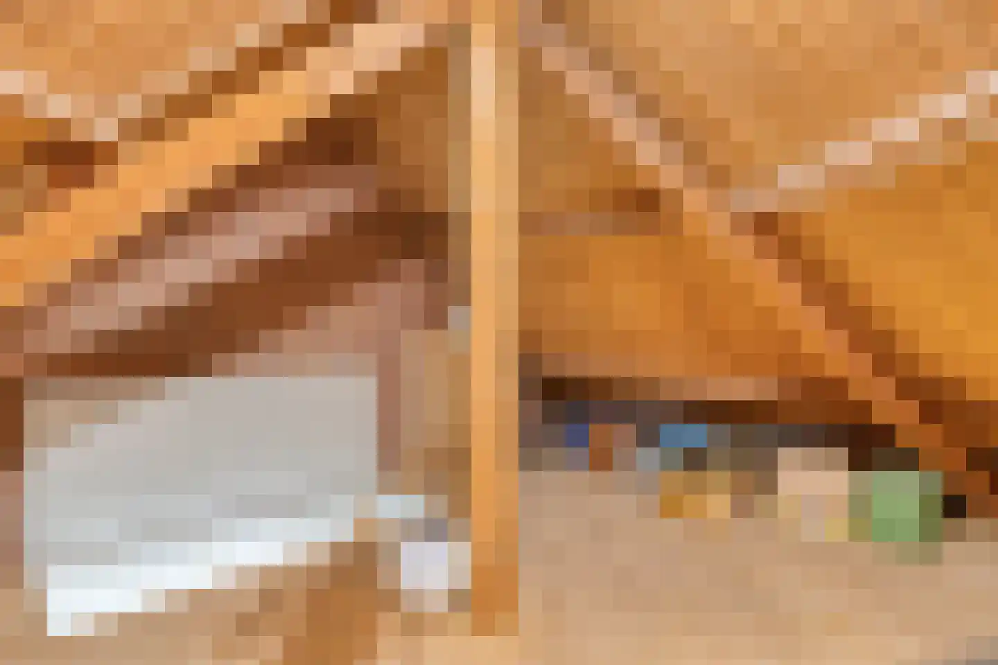 Schaapskuil 44 Bladel thumbnail 48