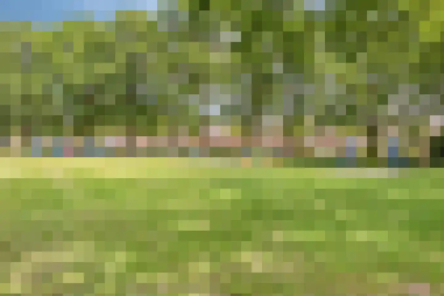 Schaapskuil 44 Bladel thumbnail 51