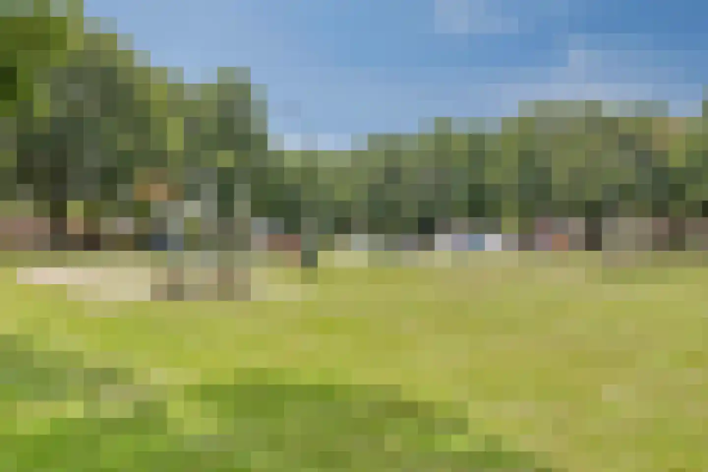 Schaapskuil 44 Bladel thumbnail 52