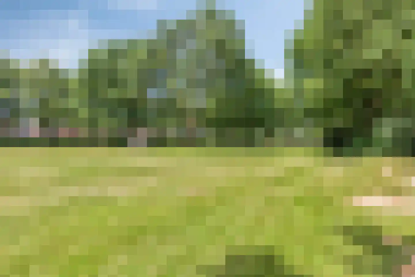 Schaapskuil 44 Bladel thumbnail 53