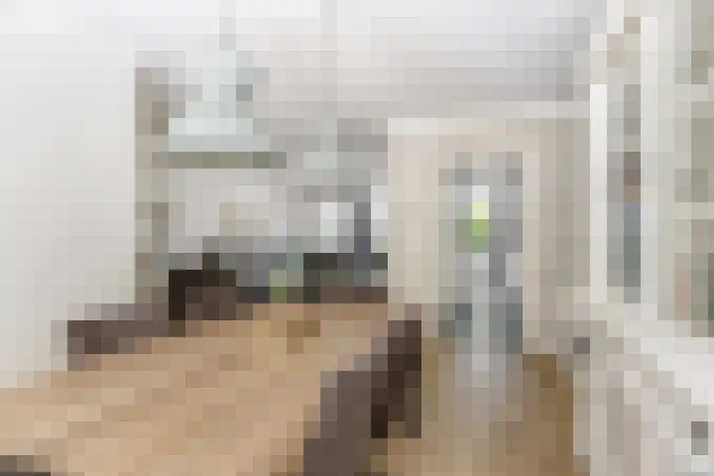 Schaapskuil 44 Bladel thumbnail 9