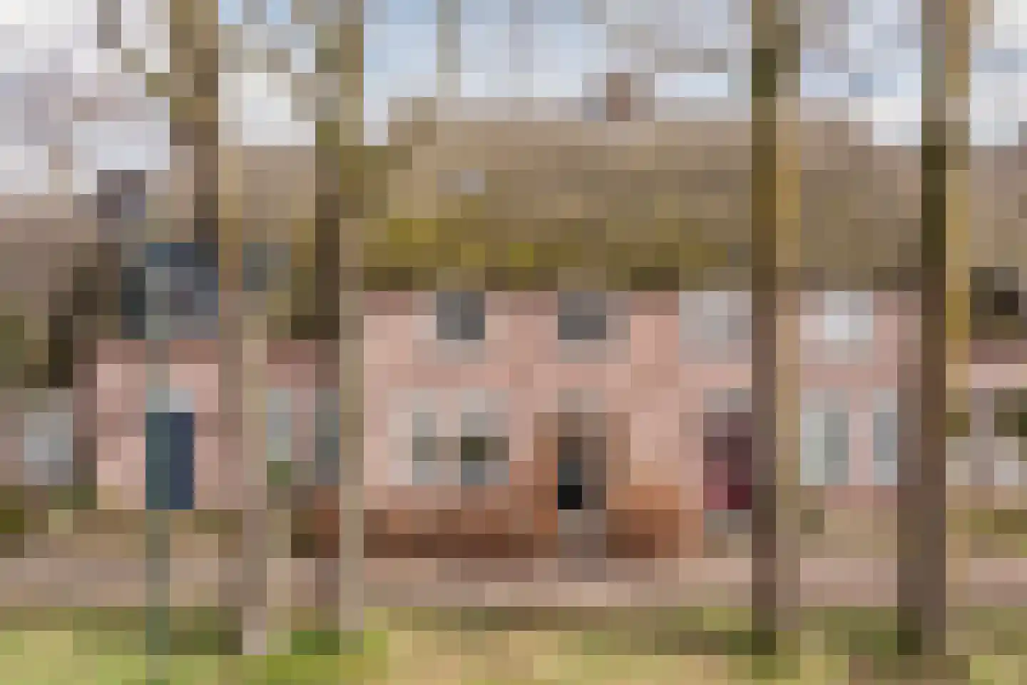 Schaapskuil 9 Bladel