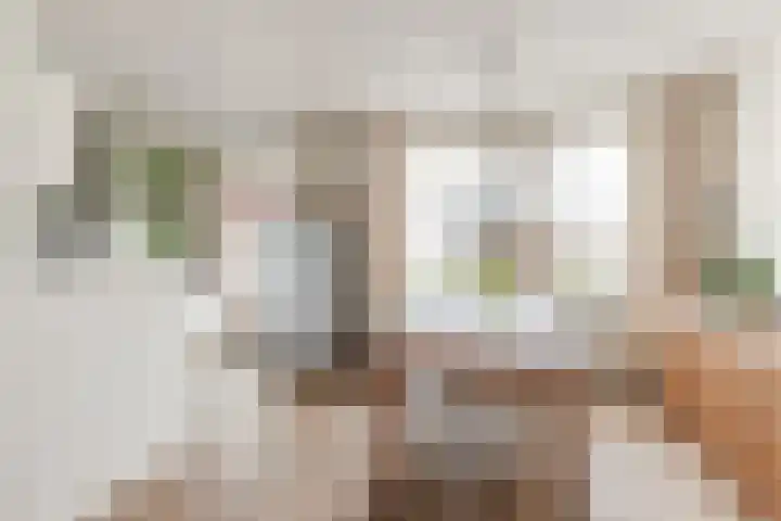 Schaapskuil 9 Bladel thumbnail 10