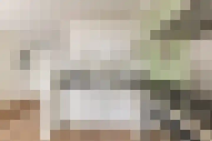 Schaapskuil 9 Bladel thumbnail 13