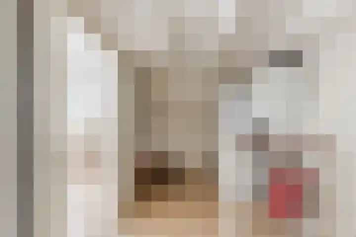 Schaapskuil 9 Bladel thumbnail 24