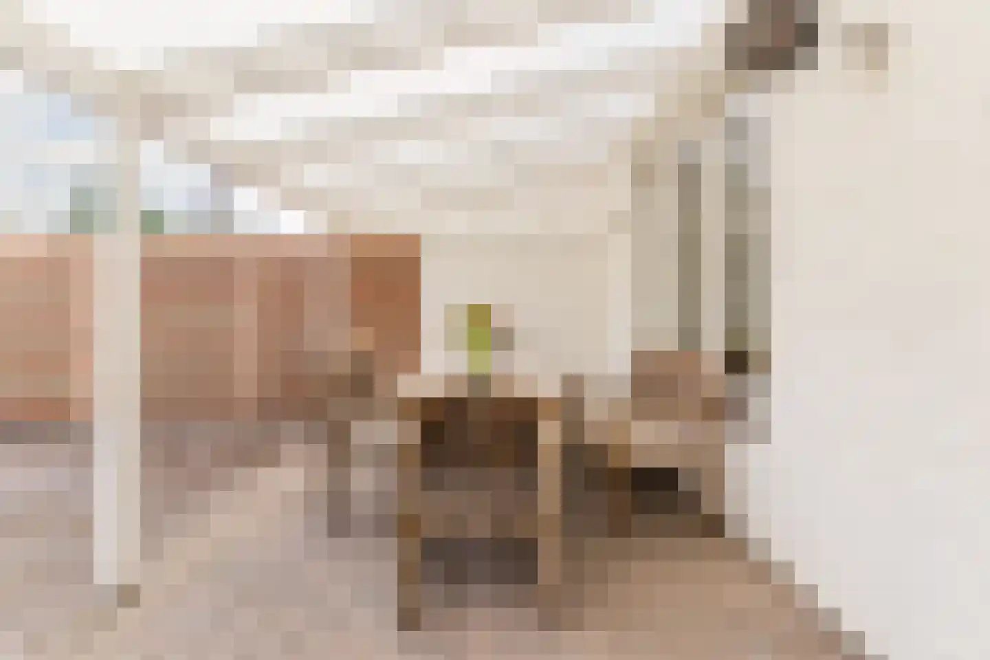 Schaapskuil 9 Bladel thumbnail 30