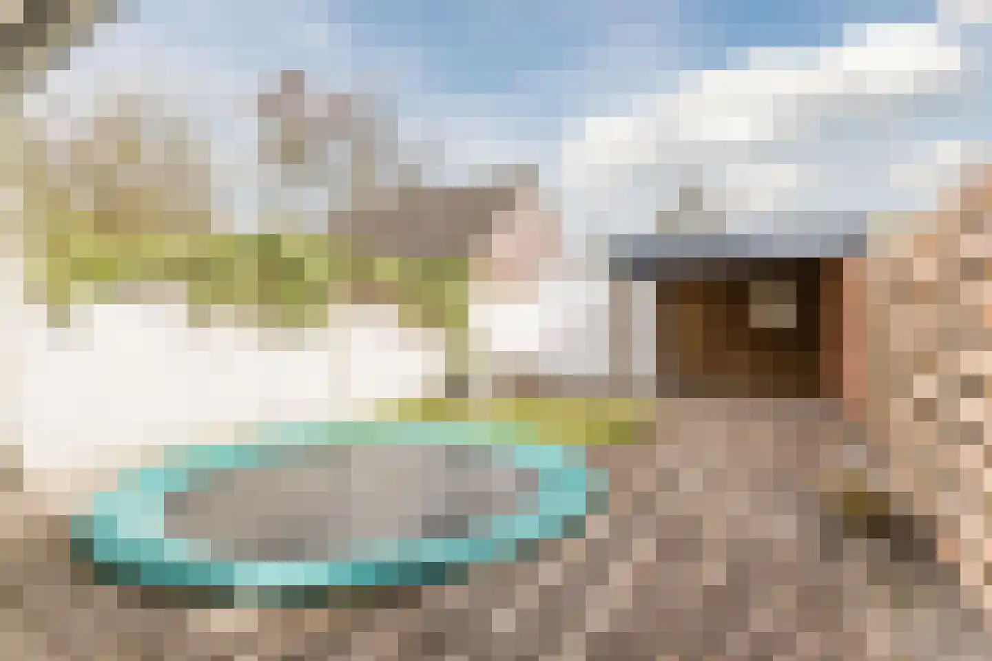 Schaapskuil 9 Bladel thumbnail 32