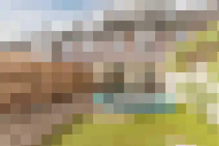 Schaapskuil 9 Bladel thumbnail 34