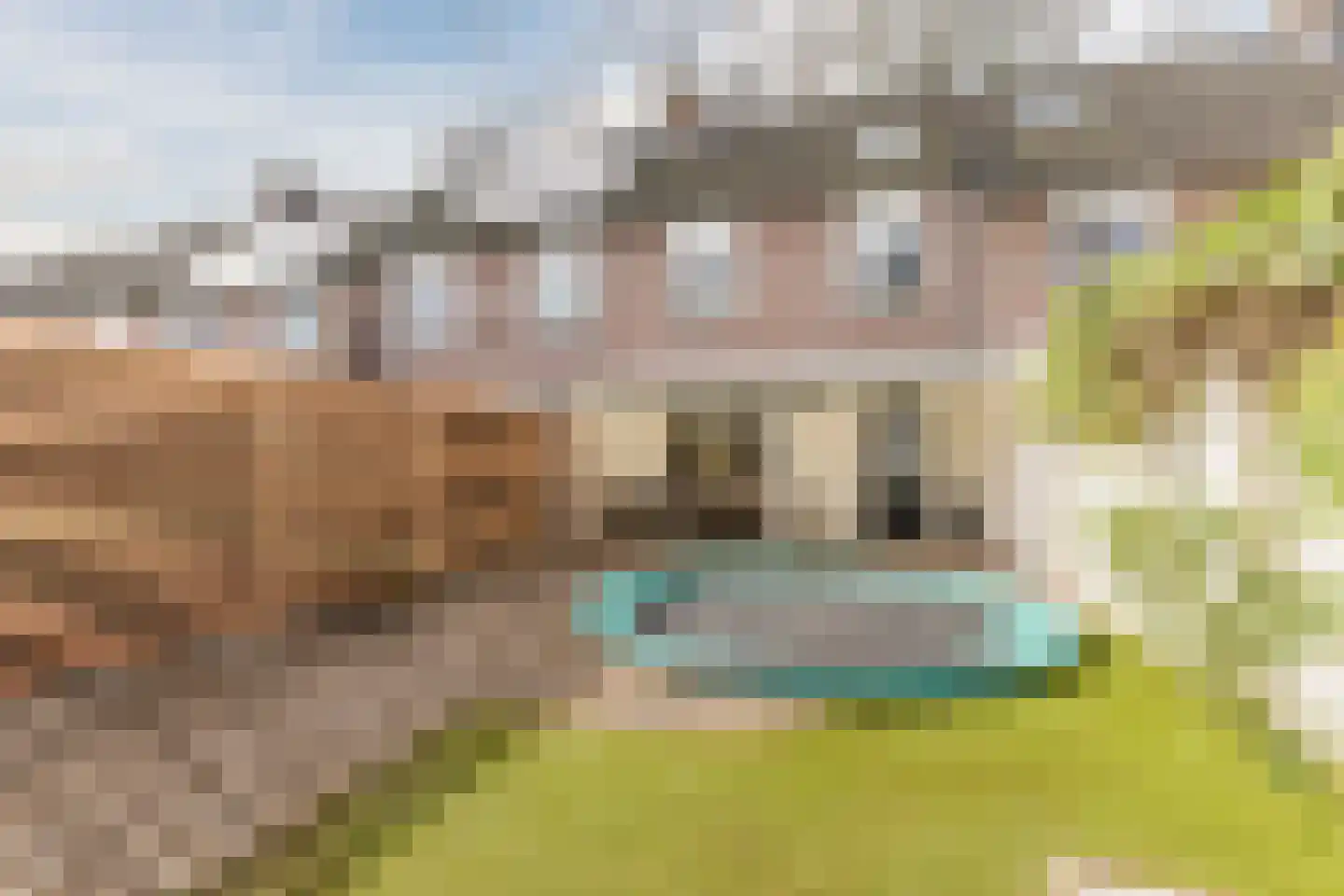 Schaapskuil 9 Bladel thumbnail 34