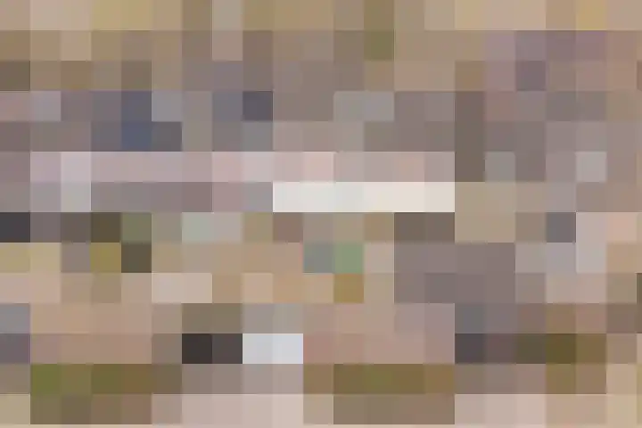 Schaapskuil 9 Bladel thumbnail 35
