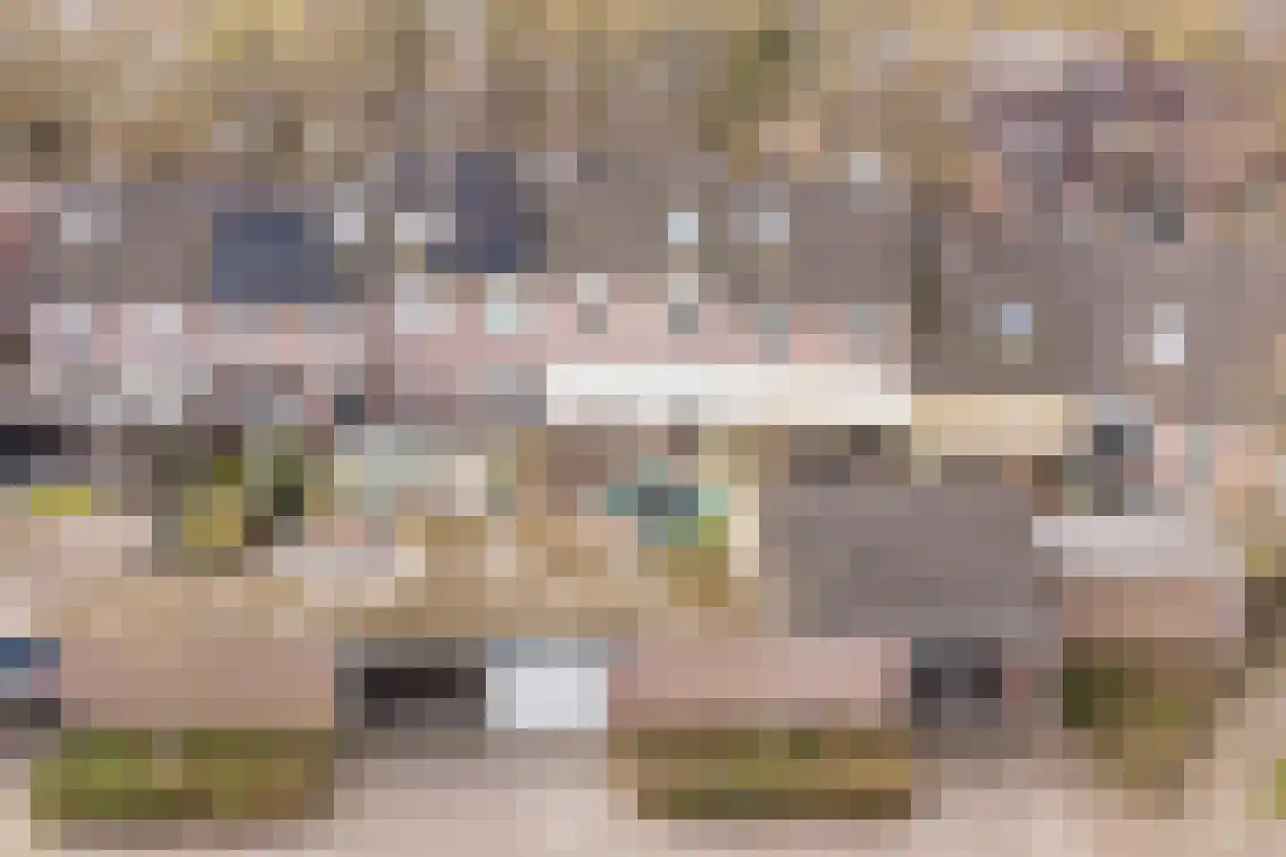 Schaapskuil 9 Bladel thumbnail 35