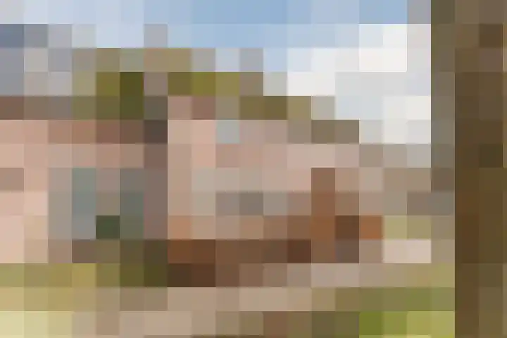 Schaapskuil 9 Bladel thumbnail 39