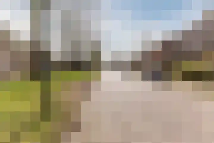 Schaapskuil 9 Bladel thumbnail 40