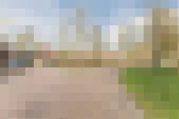 Schaapskuil 9 Bladel thumbnail 41