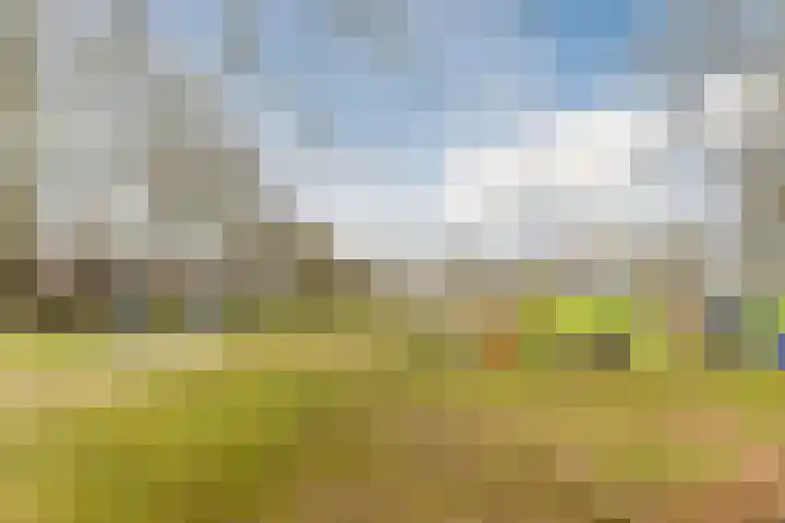 Schaapskuil 9 Bladel thumbnail 42