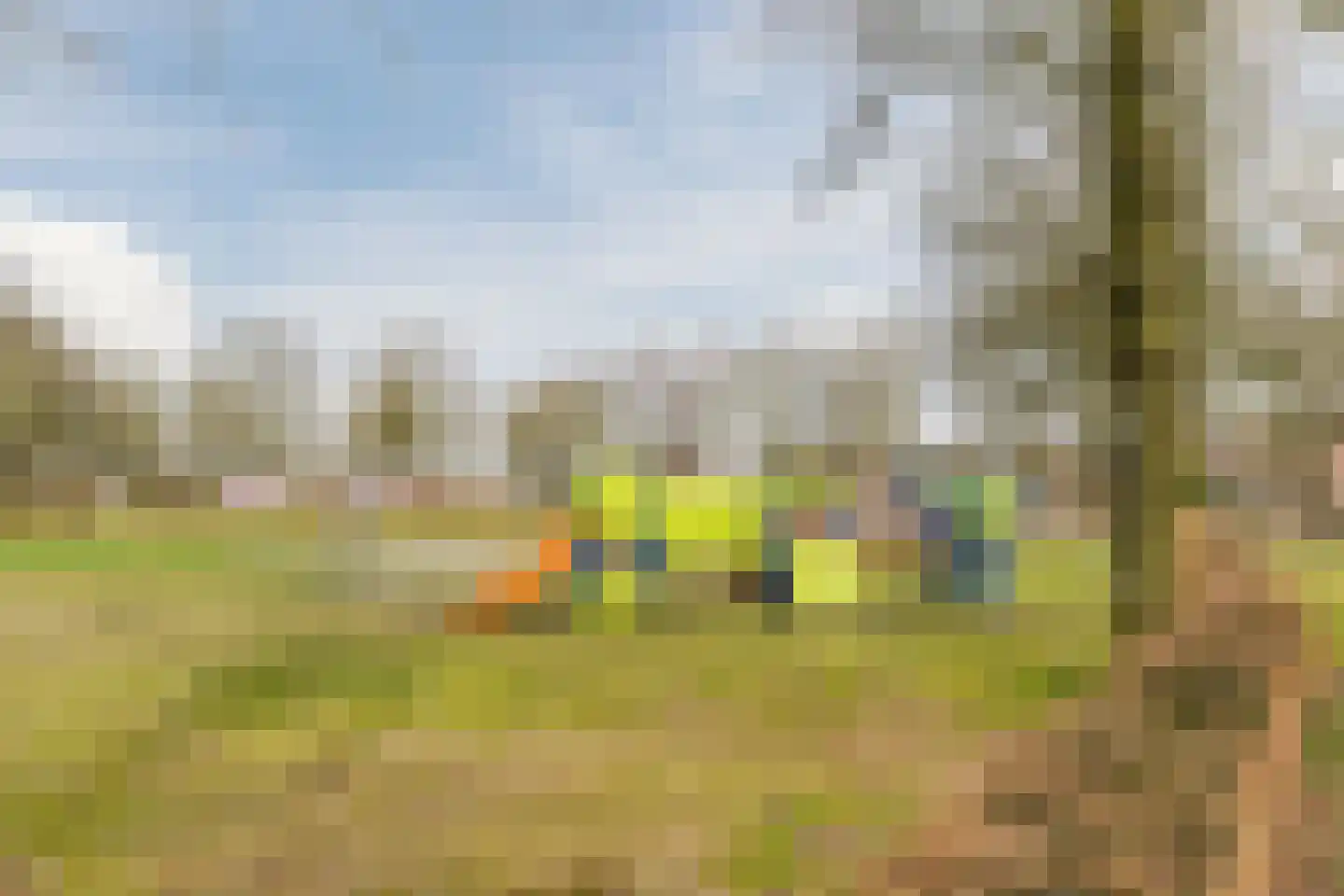 Schaapskuil 9 Bladel thumbnail 43