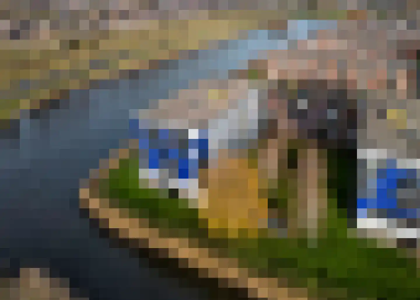 Schaapskuilmeer 159 Heerhugowaard thumbnail 29