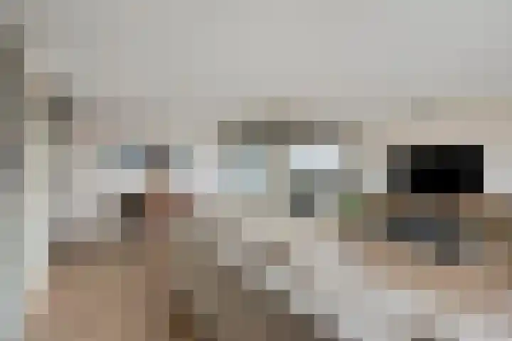Schaapskuilmeer 171 Heerhugowaard thumbnail 15