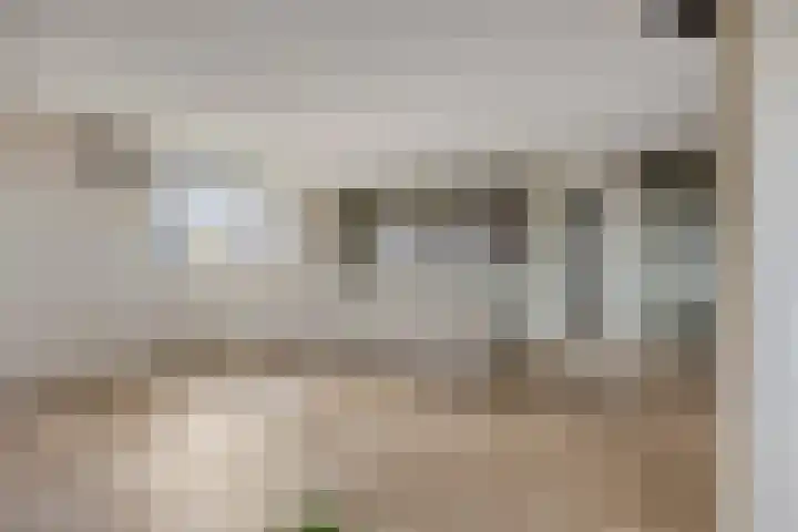 Schaapskuilmeer 171 Heerhugowaard thumbnail 16