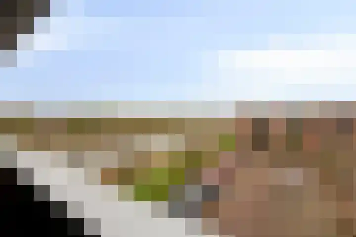 Schaapskuilmeer 171 Heerhugowaard thumbnail 24