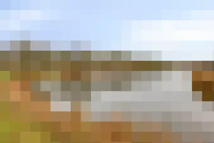 Schaapskuilmeer 171 Heerhugowaard thumbnail 27