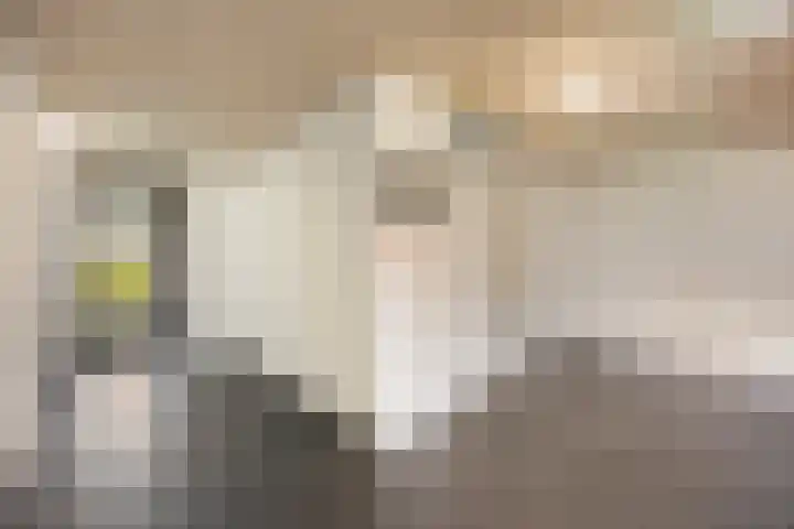 Schaapskuilmeer 171 Heerhugowaard thumbnail 9