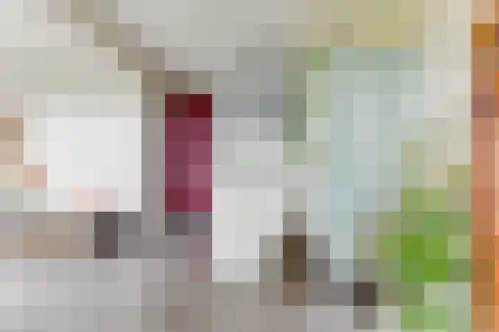 Schaapskuilmeer 24 Heerhugowaard thumbnail 17