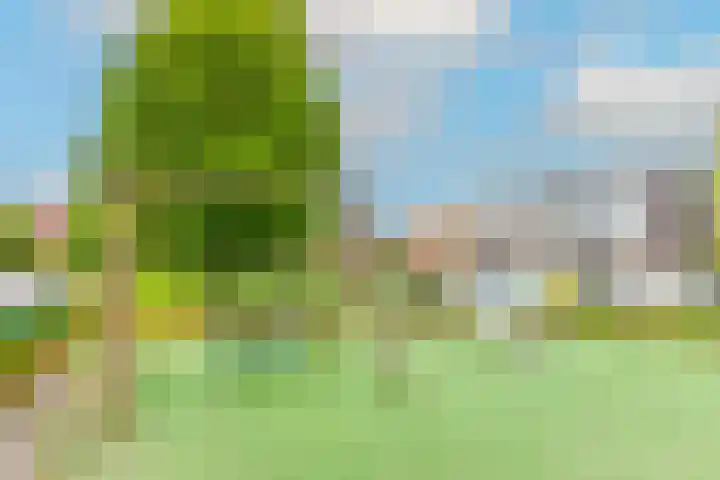 Schaapskuilmeer 24 Heerhugowaard thumbnail 38
