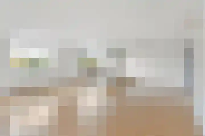 Schaapskuilmeer 45 Heerhugowaard thumbnail 6