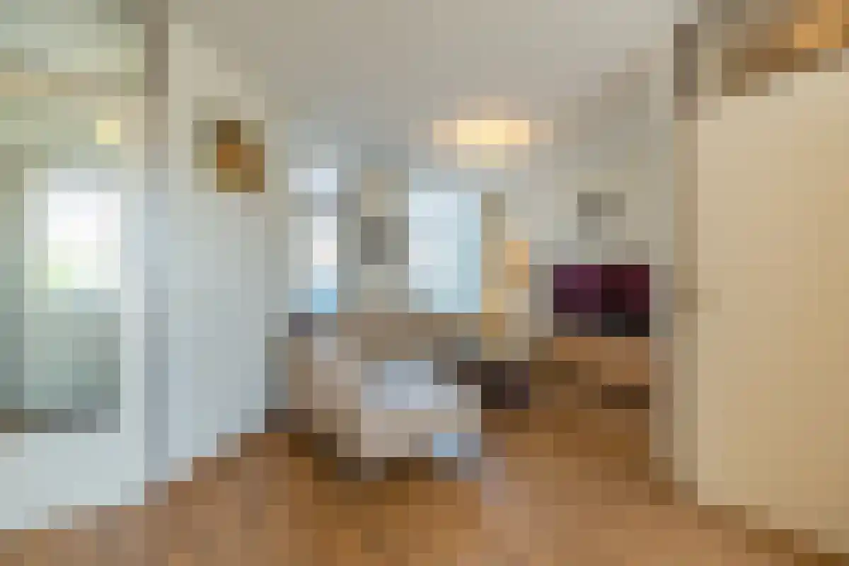 Schaapsloopven 12 Eindhoven thumbnail 5
