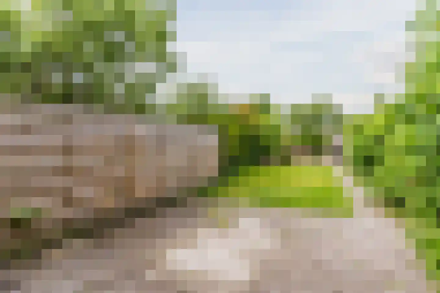 Schaapsloopven 29 Eindhoven thumbnail 41