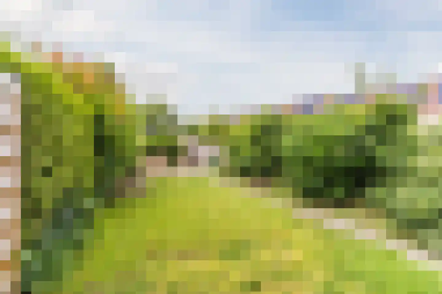 Schaapsloopven 29 Eindhoven thumbnail 43