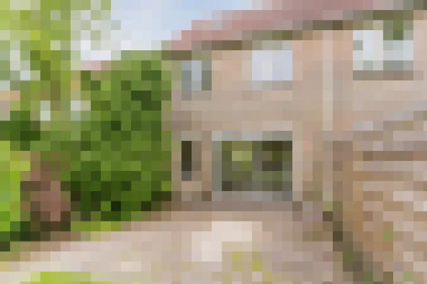 Schaapsloopven 29 Eindhoven thumbnail 45