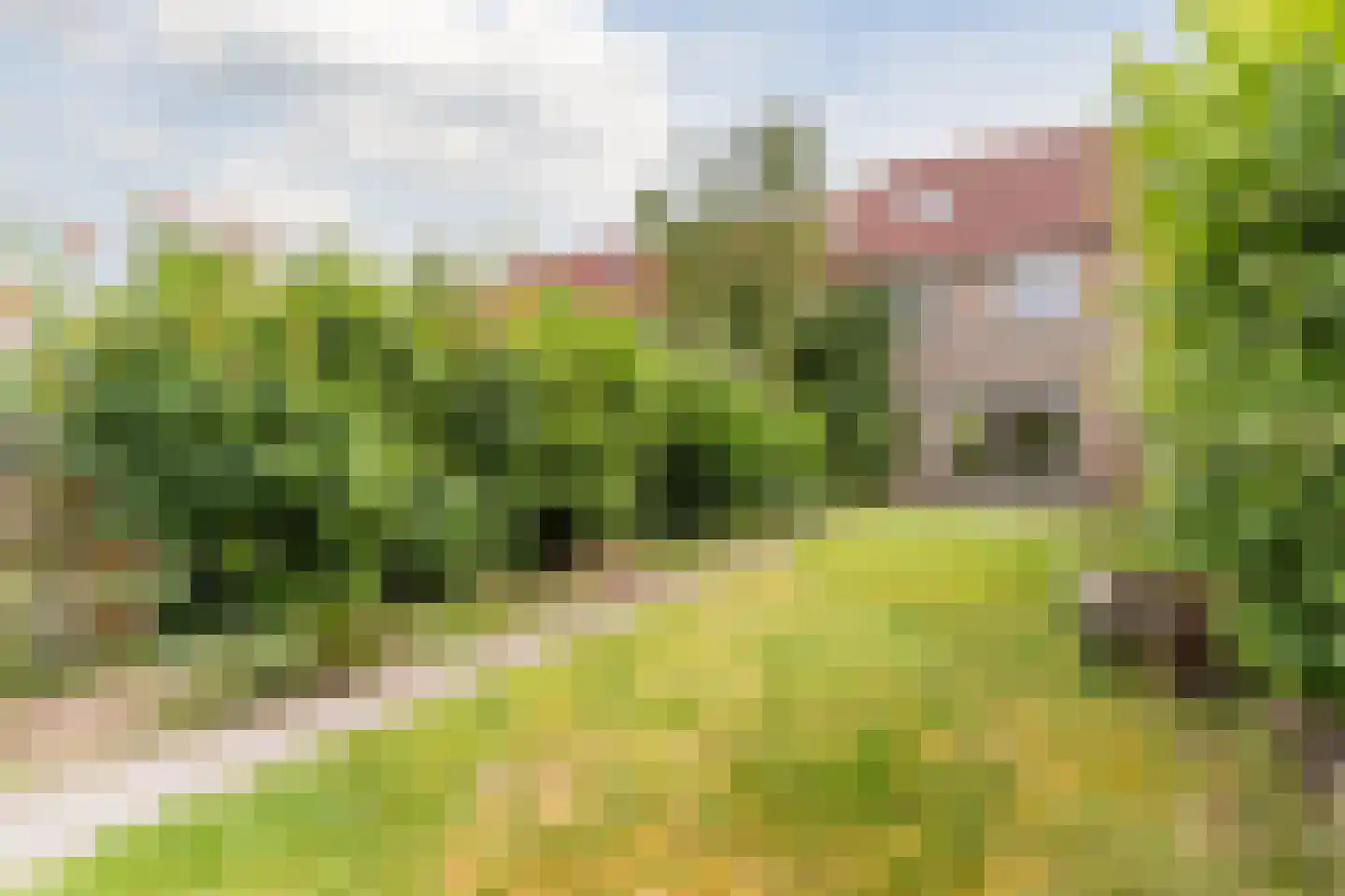 Schaapsloopven 29 Eindhoven thumbnail 46