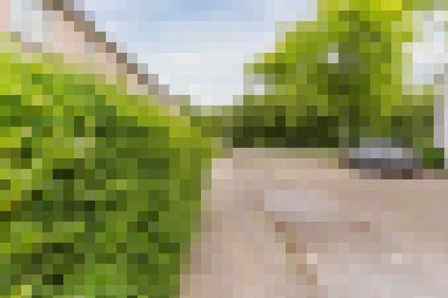 Schaapsloopven 29 Eindhoven thumbnail 52