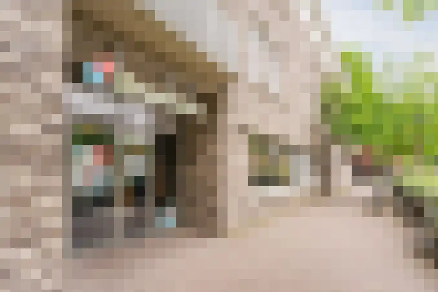Schaapsloopven 29 Eindhoven thumbnail 53