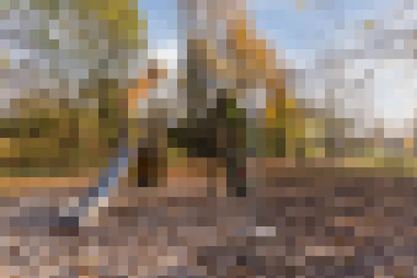 Schaapsloopven 29 Eindhoven thumbnail 54