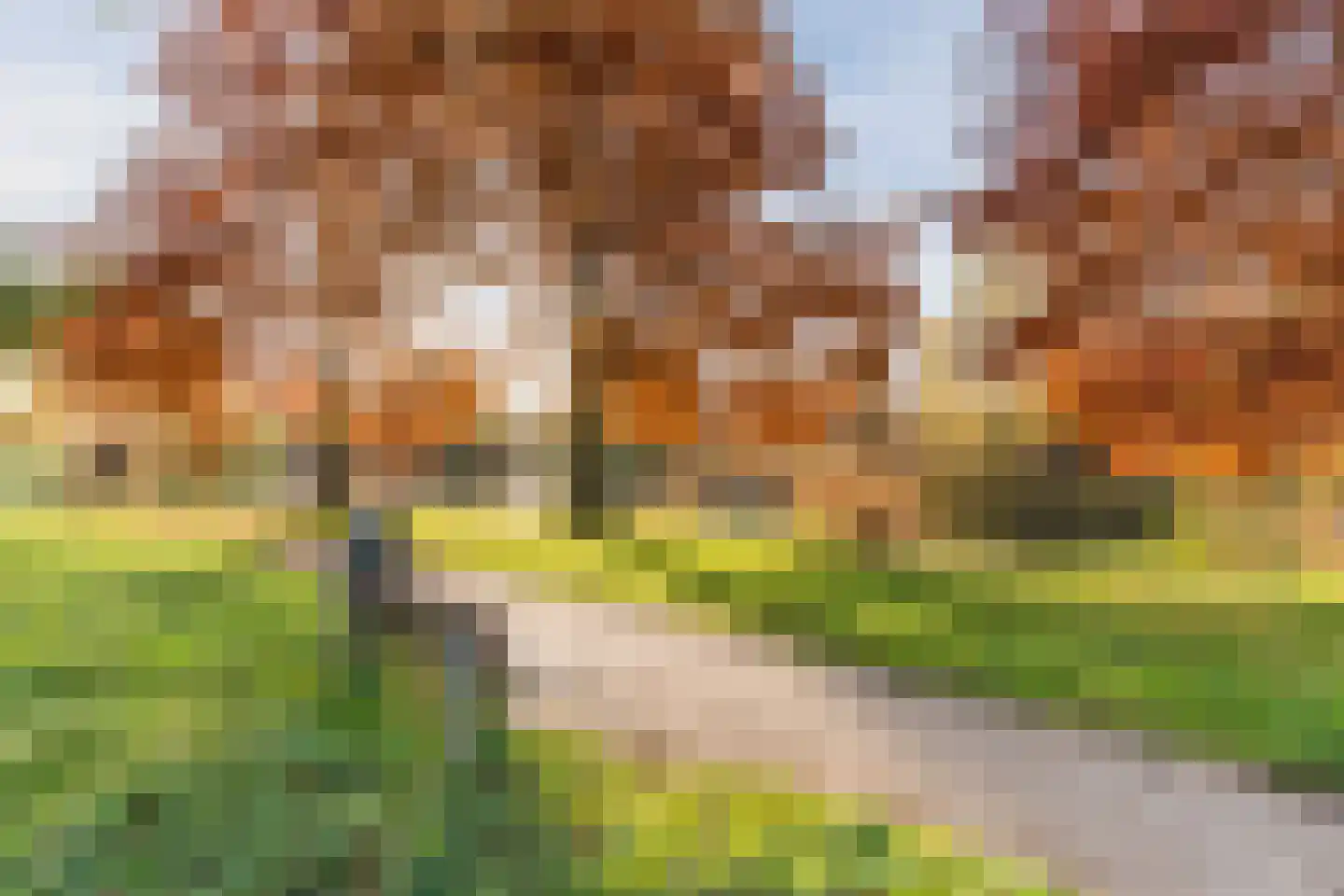 Schaapsloopven 29 Eindhoven thumbnail 55