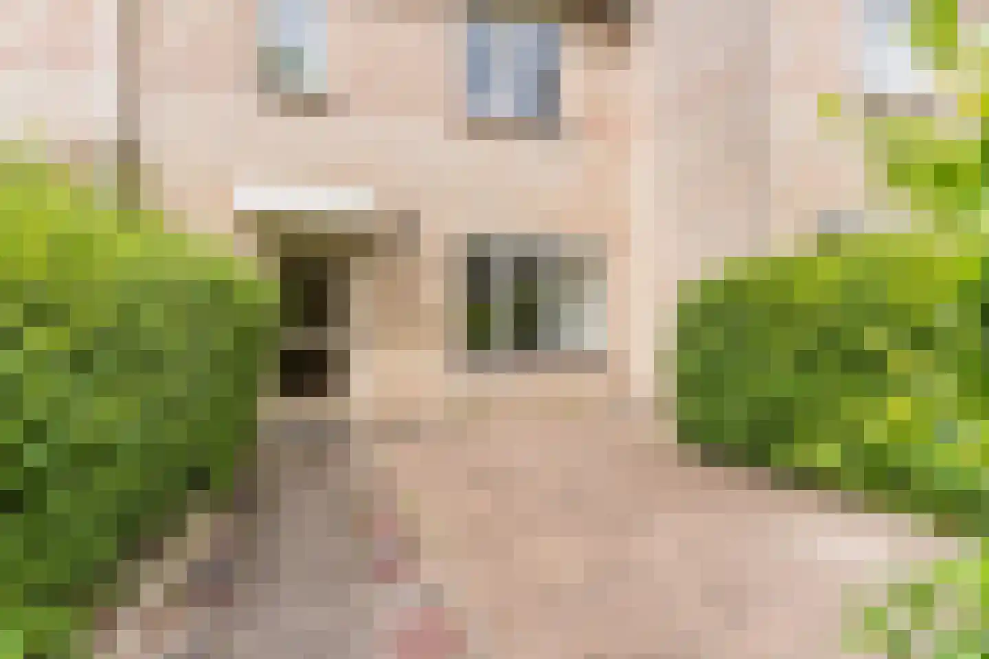 Schaapsloopven 29 Eindhoven thumbnail 7
