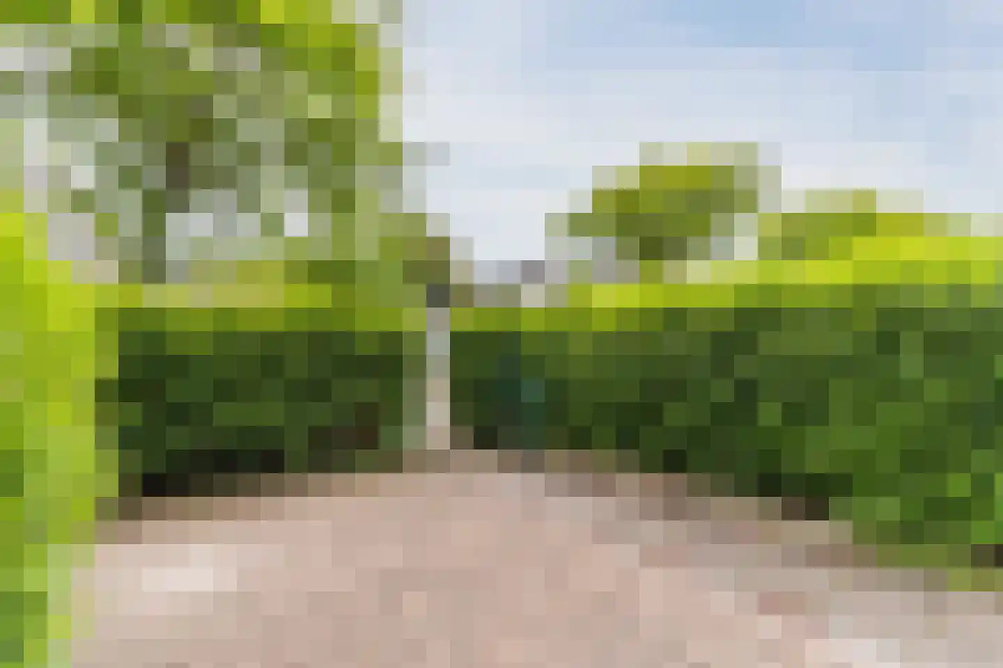 Schaapsloopven 29 Eindhoven thumbnail 8