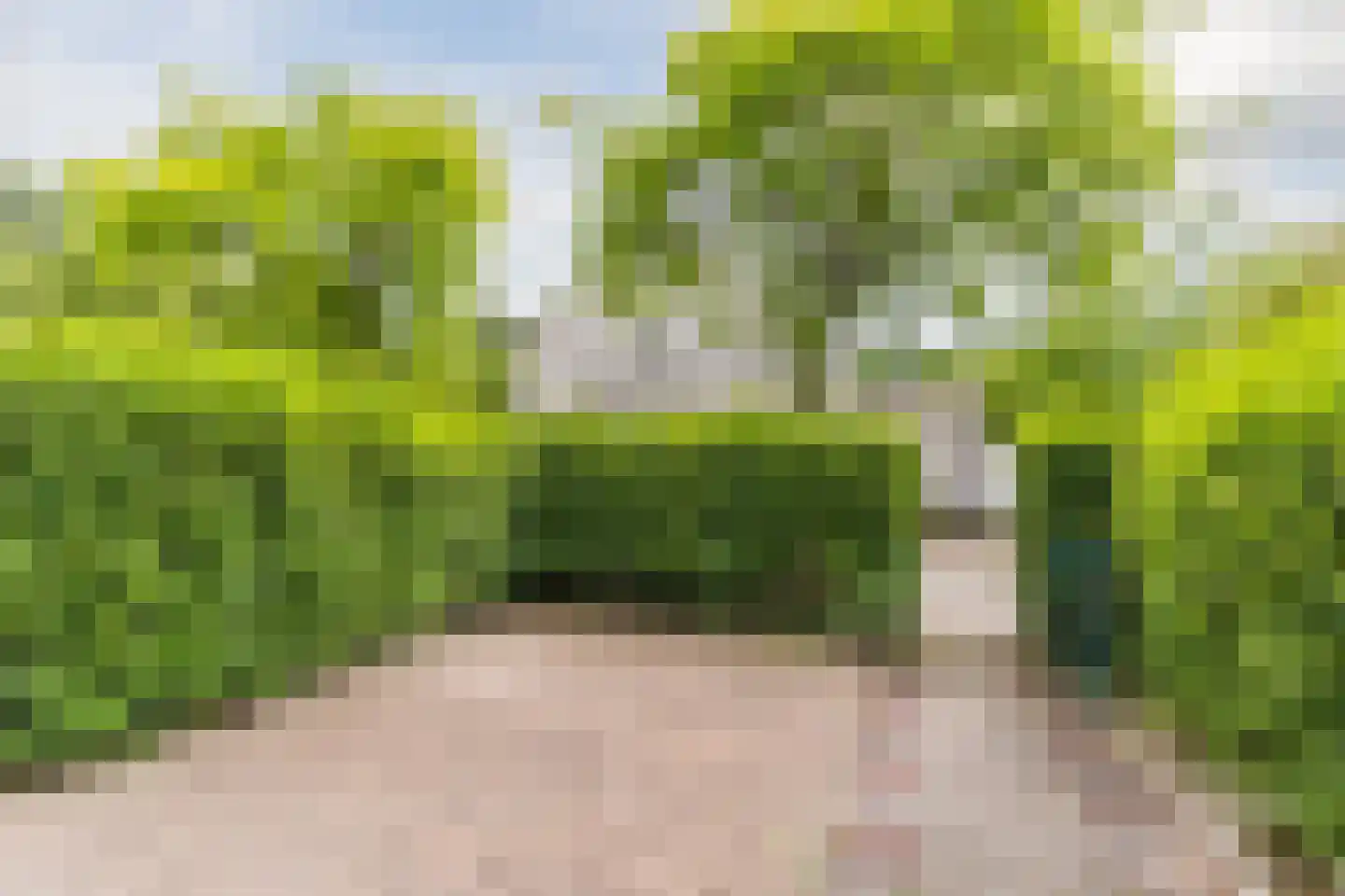 Schaapsloopven 29 Eindhoven thumbnail 9