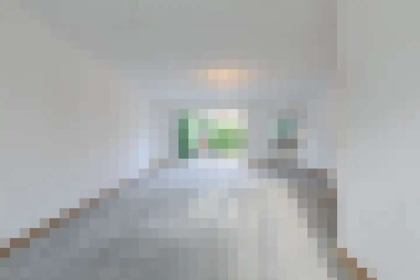 Schaapsloopven 35 Eindhoven thumbnail 13